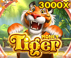 Money Tiger