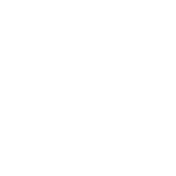Pgsoft